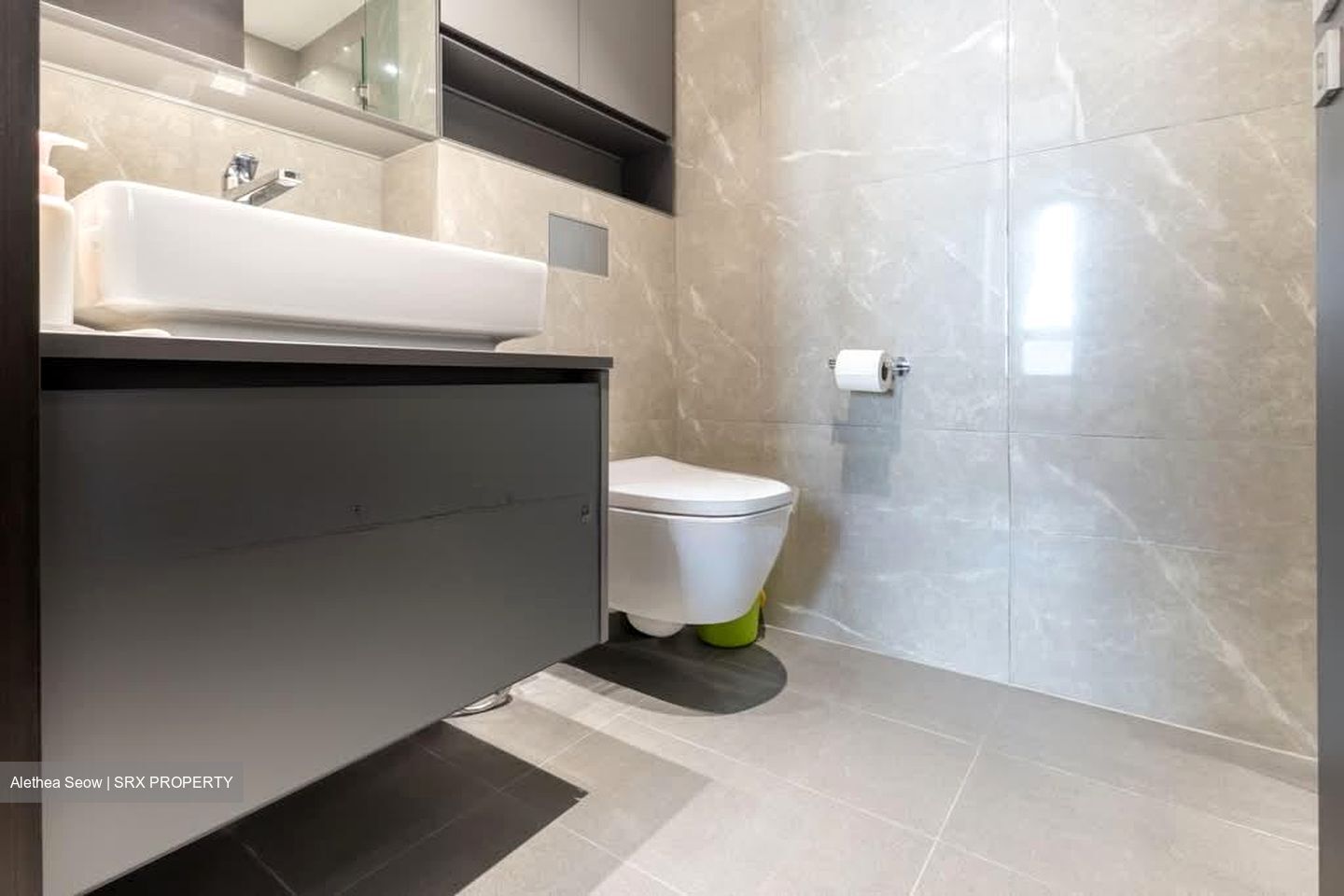 Irwell Hill Residences (D9), Apartment #599455671